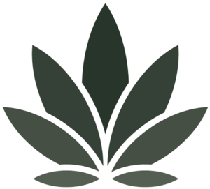 WeBelieve Logo gruen Bildmarke.png