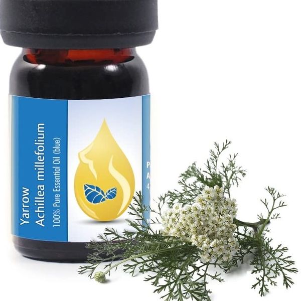 Datei:618uKCR8CbL. AC SL1500 Cropped(1).jpg