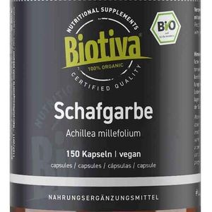 51aiK7okufL. AC SL1000 Cropped.jpg