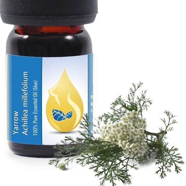 Datei:618uKCR8CbL. AC SL1500 Cropped.jpg